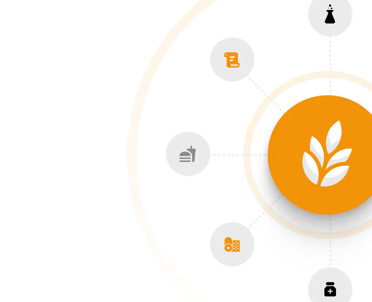 Rootie product ecosystem